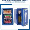 Michelin Mini Fridge – Refrigerator for Bedroom Office, Portable Table Top Beverage Cooler, 12V 110V Refrigerador For Drinks, Soda, Wines, Use In Car, Dorm, Outdoor, Patio, 8 Can