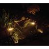 Koolatron Koolscapes 4-Piece Pond Lighting