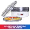 Total Chef Electric Food Dehydrator – 5-Tier Alimentos Deshidratador for Jerky, Fruit, Herbs, Vegetables, Meat, Fish – Countertop Dehydrator with Dishwasher-Safe Trays for carnes secas, frutas
