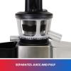 Total Chef Slow Juicer, Masticating Cold Press Juice Extractor, High Yield for Juicing Leafy Greens, Herbs, Grasses, Fruits, and Vegetables, Higher Quality Juice, Black/Silver, 33.8 Ounces, (TCSJ01)